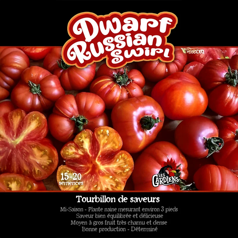 Tomate ‘Dwarf Russian Swirl’ ( Solanum lycopersicum )