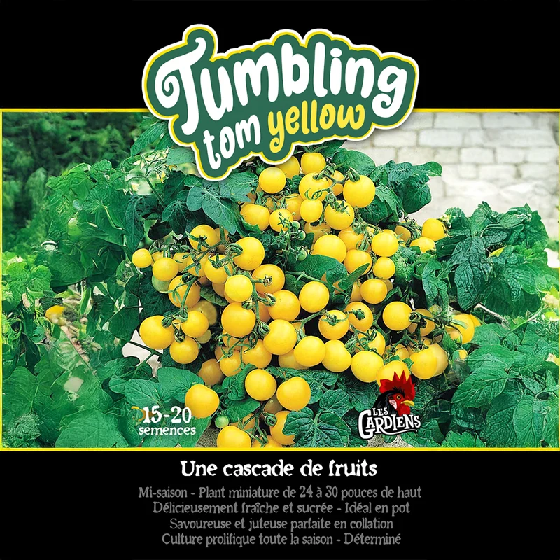 Tomate ‘Tumbling Tom Yellow’ ( Solanum lycopersicum )