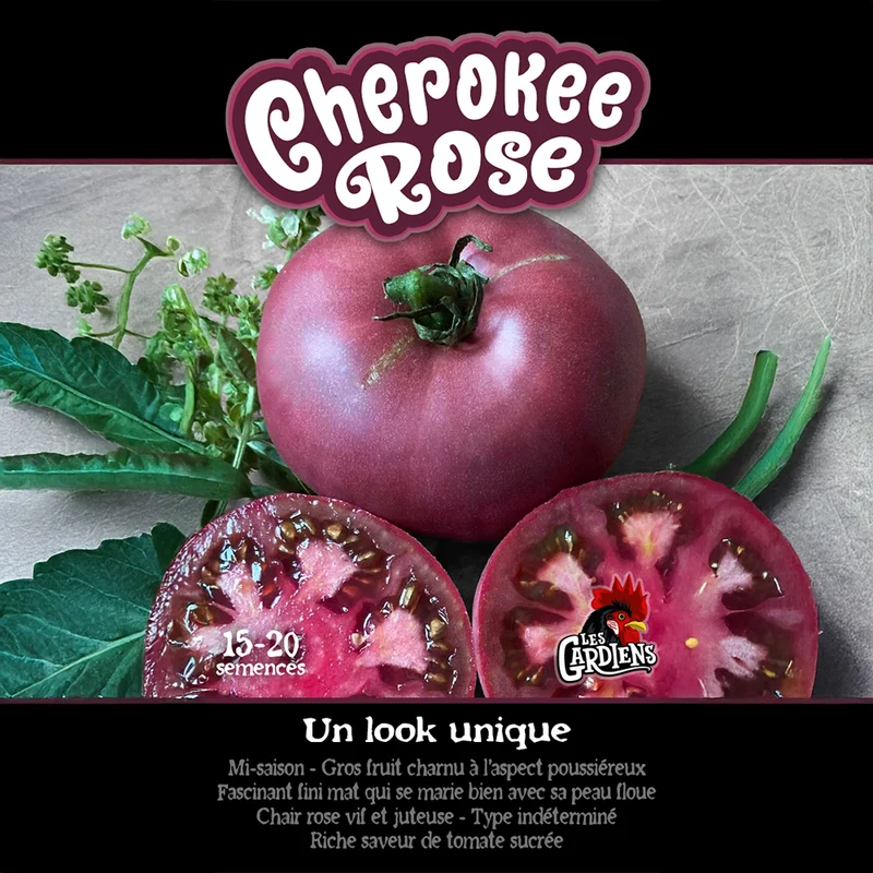 Tomate ‘Cherokee Rose’ ( Solanum lycopersicum )