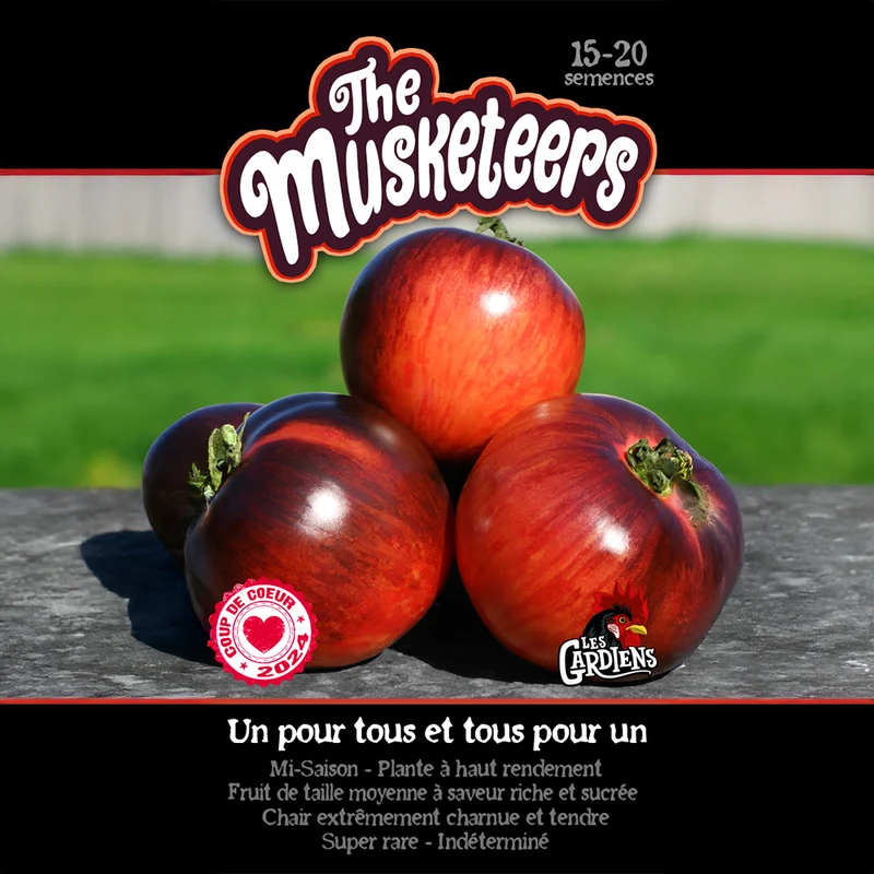 Tomate ‘The Musketeers’ ( Solanum lycopersicum )