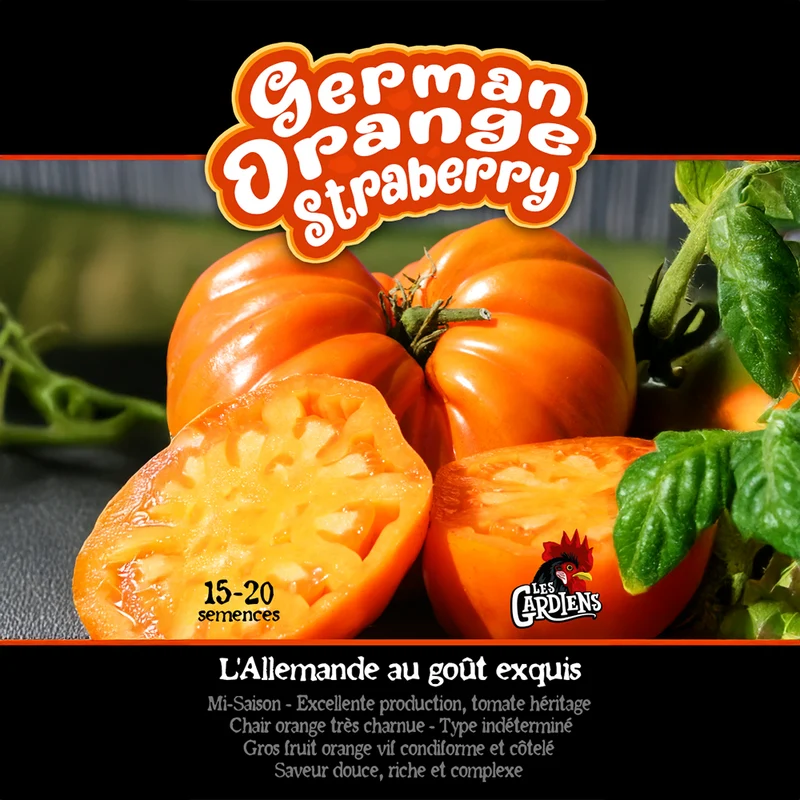 Tomate ‘German Orange Strawberry’ ( Solanum lycopersicum )