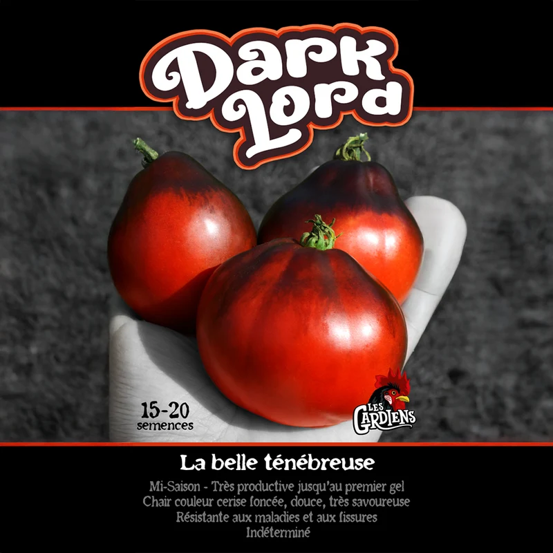 Tomate ‘Dark Lord’ ( Solanum lycopersicum )