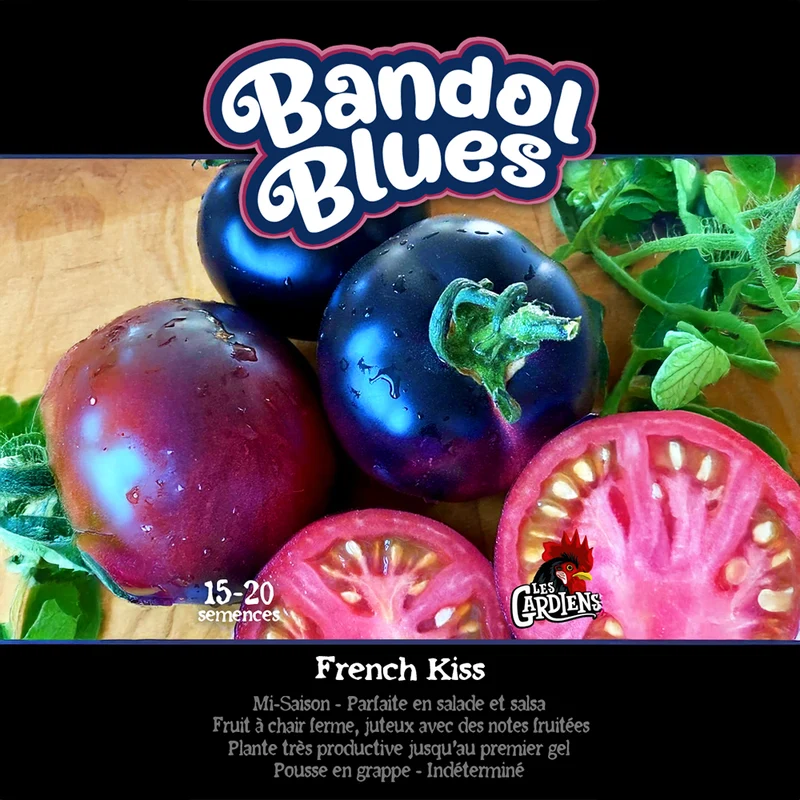 Tomate ‘Bandol Blues’ ( Solanum lycopersicum )
