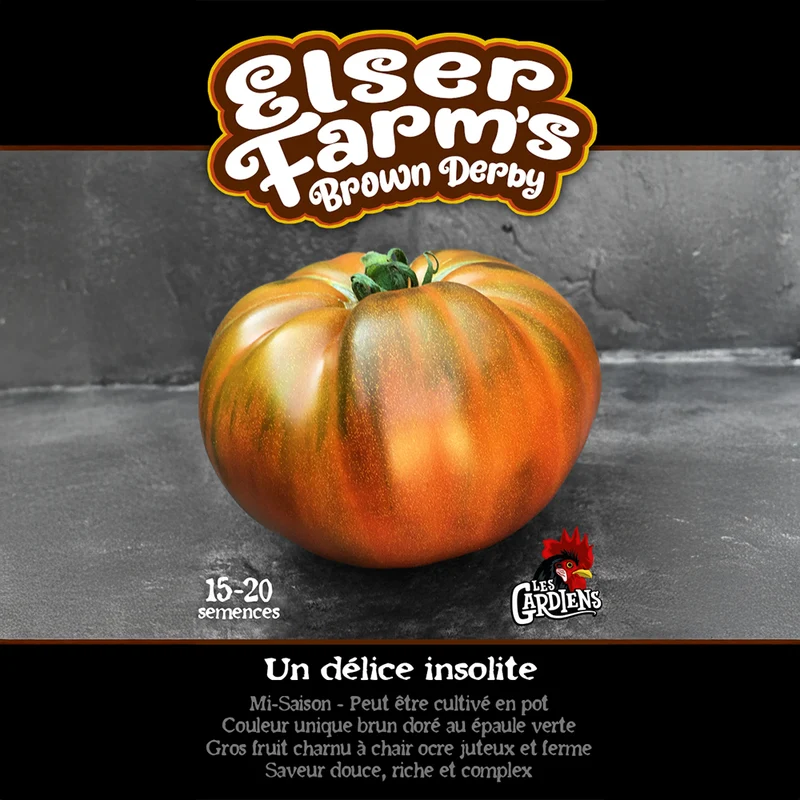 Tomate ‘Elser Farm’s Brown Derby’ ( Solanum lycopersicum )