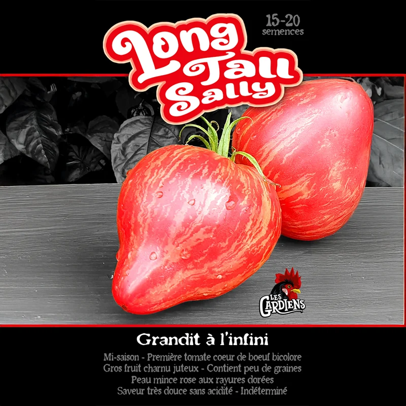Tomate ‘Long Tall Sally’ ( Solanum lycopersicum )