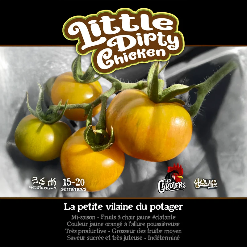 Tomate ‘Little Dirty Chicken’ ( Solanum lycopersicum )
