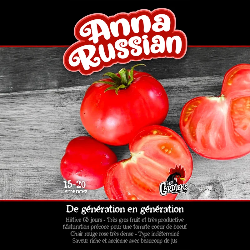 Tomate ‘Anna Russian’ ( Solanum lycopersicum )