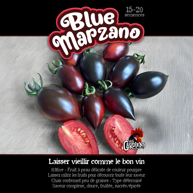 Tomate ‘Blue Marzano’ ( Solanum lycopersicum )