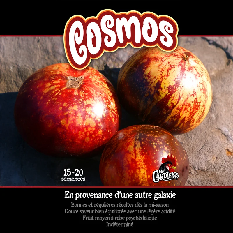 Tomate ‘Cosmos’ ( Solanum lycopersicum )
