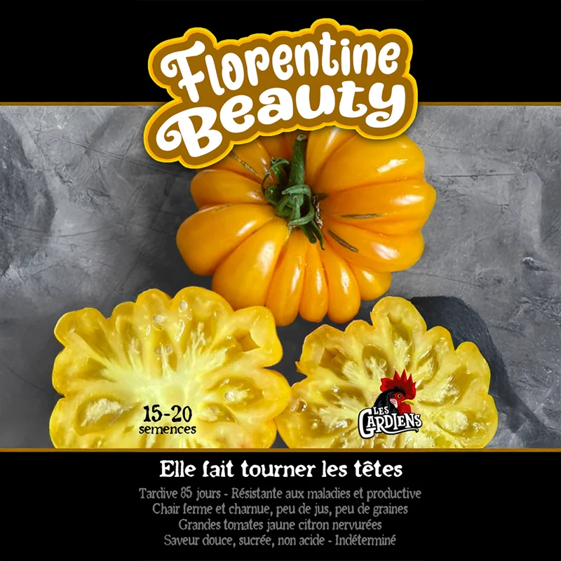 Tomate ‘Florentine Beauty’ ( Solanum lycopersicum )