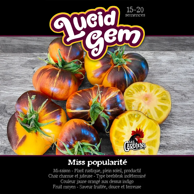 Tomate ‘Lucid Gem’ ( Solanum lycopersicum )