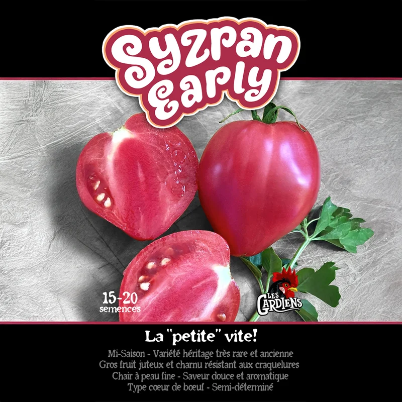 Tomate ‘Syzran Early’ ( Solanum lycopersicum )