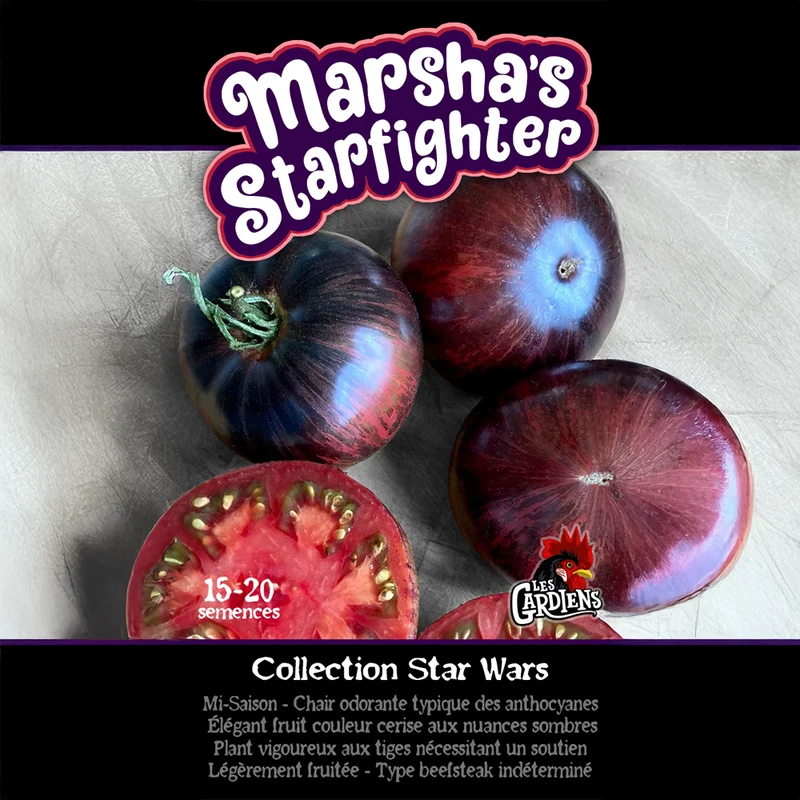 Tomate ‘Marsha’s Starfighter Beefsteak’ ( Solanum lycopersicum )