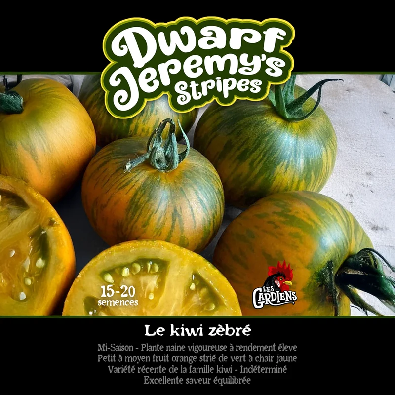 Tomate ‘Dwarf Jeremy's Stripes’ ( Solanum lycopersicum )
