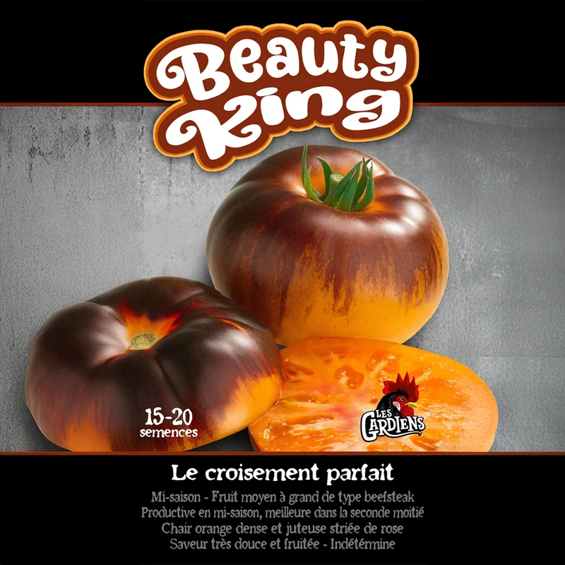 Tomate ‘Beauty King’ ( Solanum lycopersicum )