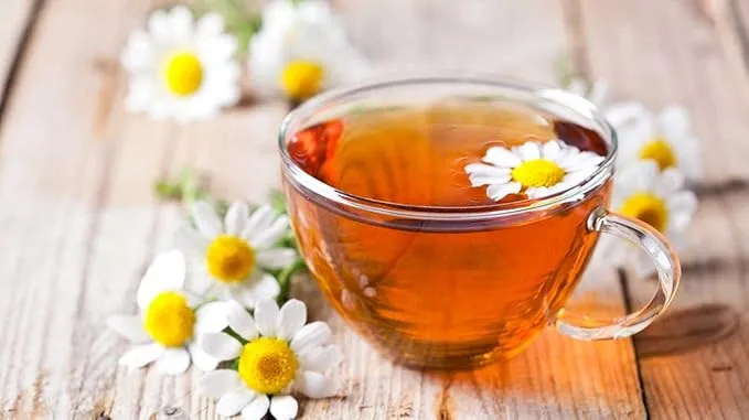Chamomile Seeds – Anthemis Nobilis – Calming Aromatic Herb for Garden Planting