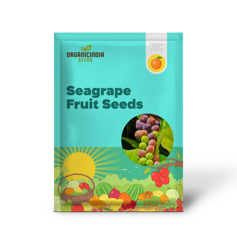 Seagrape Fruit Seeds - Grow Your Own Tropical Delight with Exotic Seagrape Trees