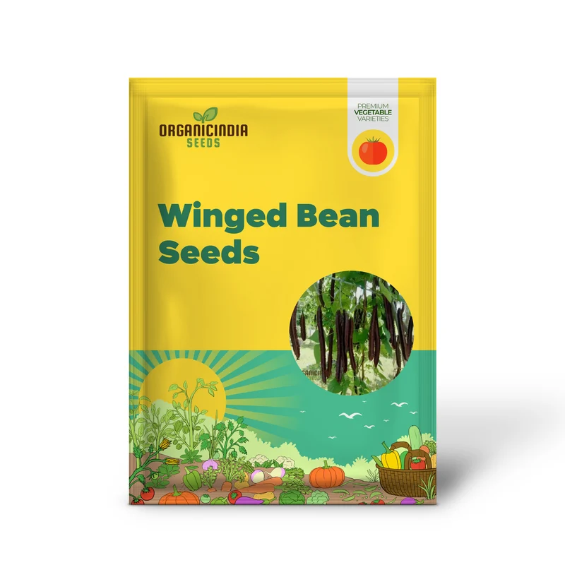 Purple Winged Bean Vegetable Seeds - Exotic and Nutritious Additions to Your Garden