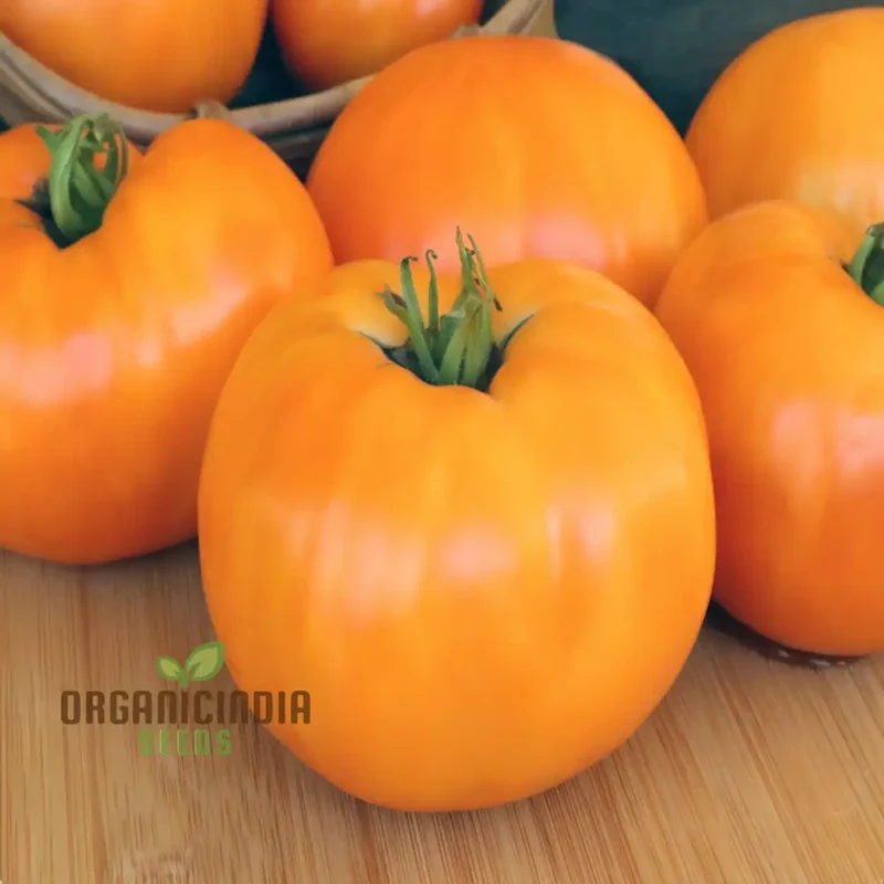 Yellow Kellogg's Tomato Vegetable Seeds - Grow Deliciously Sweet and Juicy Tomatoes