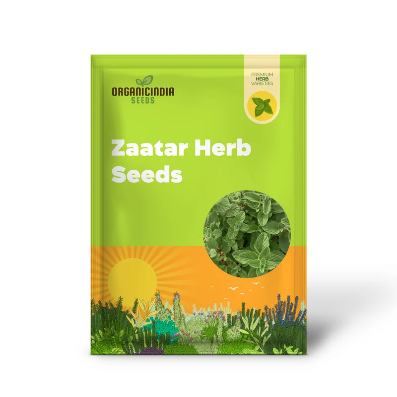 Zaatar Herb Seeds – Aromatic Mediterranean Blend for Culinary Use
