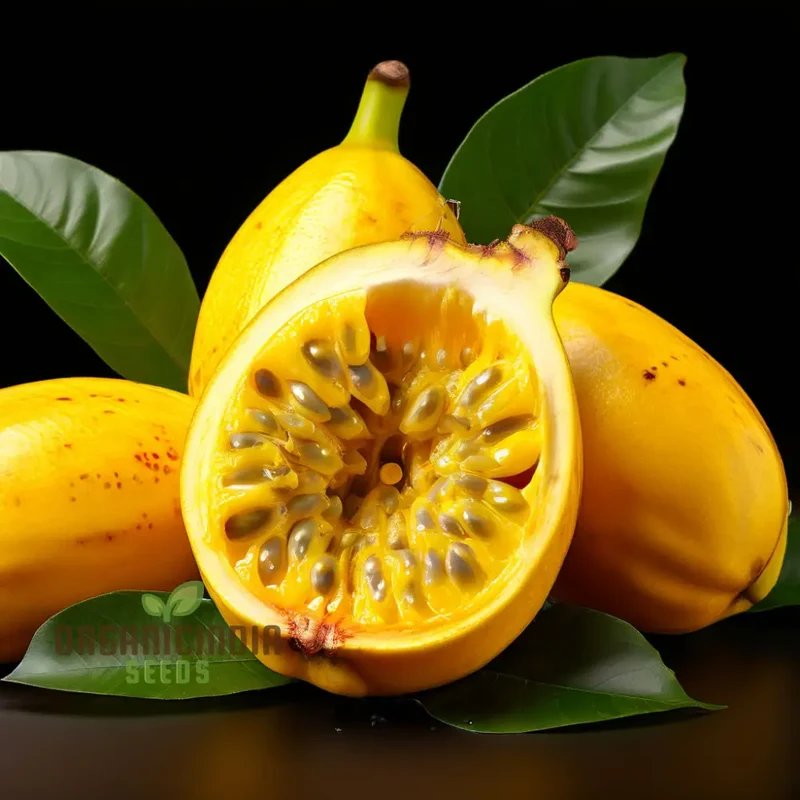 Yellow Banana Passion Fruit Seeds, Exotic and Sweet Tropical Flavor, Vibrant and Delicious Garden, Easy-to-Growing plant