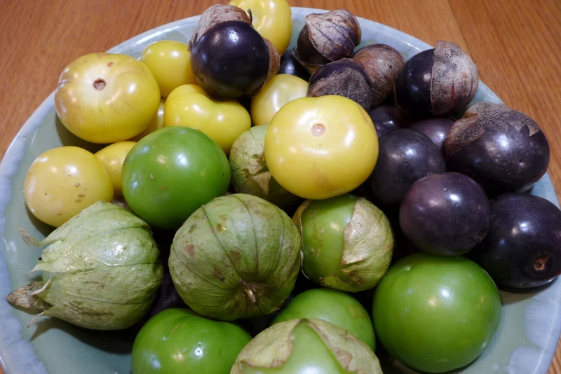 Mélange de tomatillo 3 variétés ( Physalis ixocarpa )