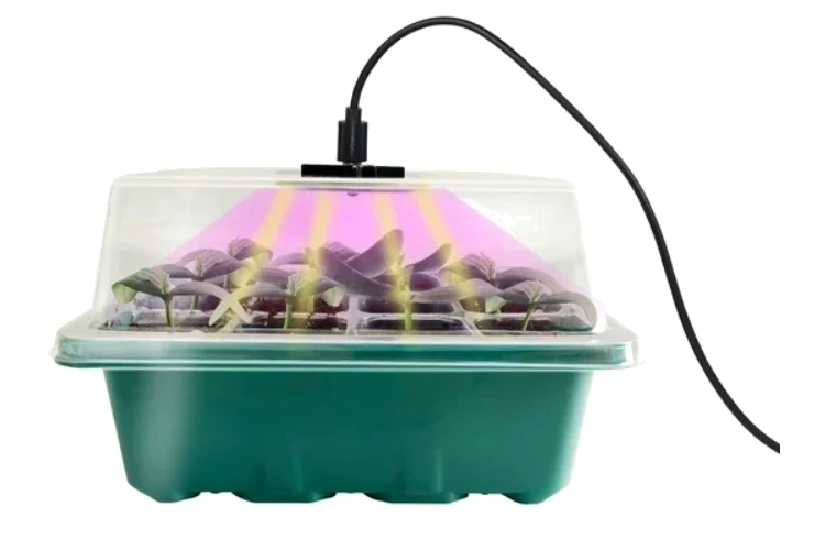 Ensemble mini-serre avec éclairage – 12 cellules