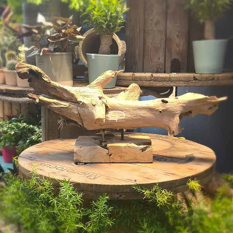 De Vlucht – Sculptuur van Drijfhout op Houten Voet