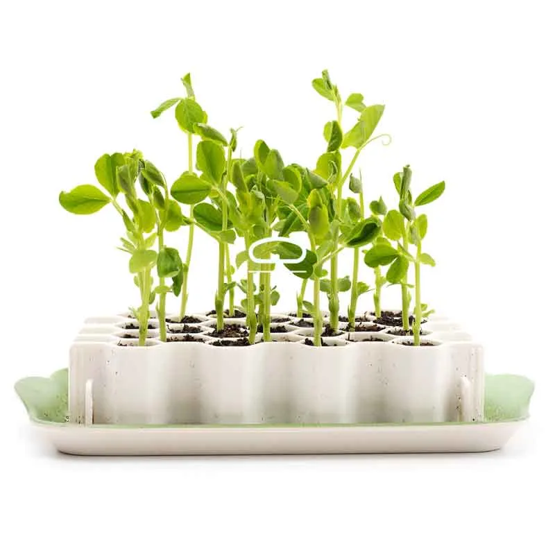 Germie M Kweekkit – Zaai 25 Planten zonder Gedoe