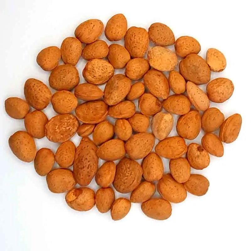 Amandelboom zaden - zoete amandel (Prunus Dulcis)
