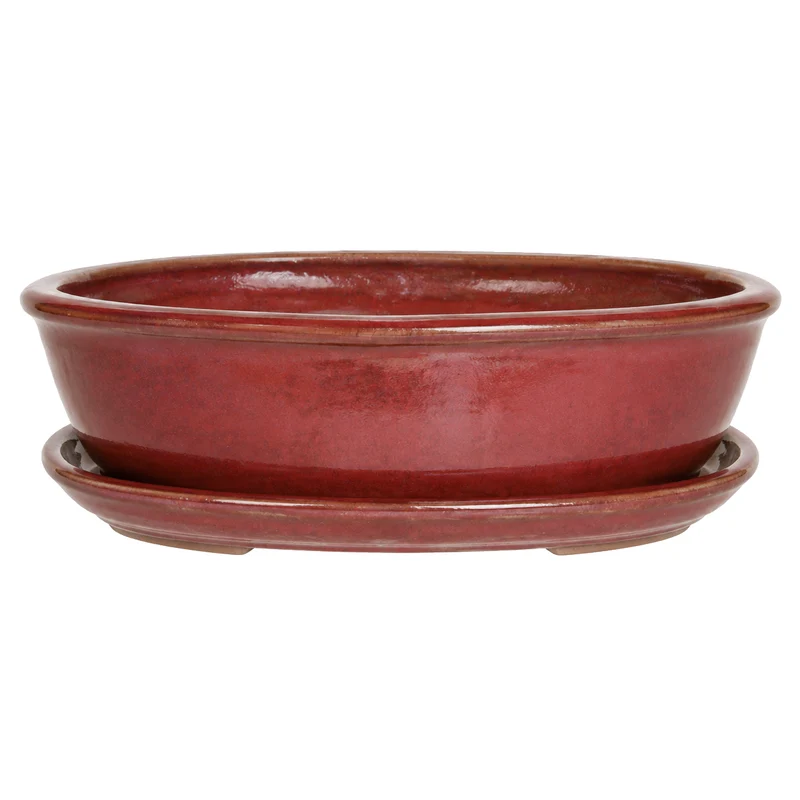 Pot à bonsaï en céramique avec soucoupe – 10 po