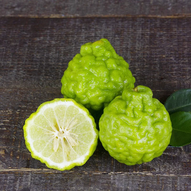 Bergamot Orange Seeds for Planting – Grow Fragrant & Flavorful Citrus for Tea & Perfume