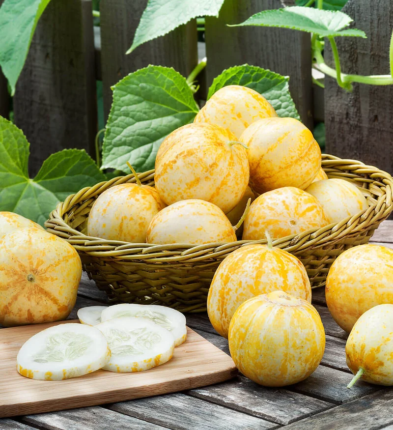 Lemon Cucumber Seeds – Heirloom, Sweet & Crisp Yellow Round Cucumbers