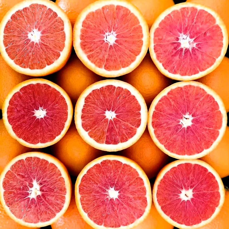 Cara Cara Orange Seeds for Planting – Grow Sweet & Juicy Pink-Fleshed Oranges