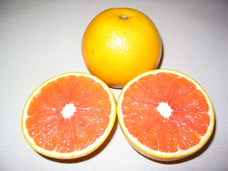 Cara Cara Orange Seeds for Planting – Grow Sweet & Juicy Pink-Fleshed Oranges