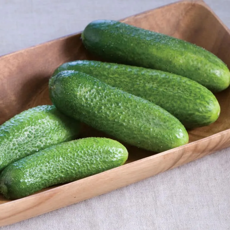 Harmonie Cucumber Seeds – Productive, Crisp, Ideal for Fresh Eating & Pickling