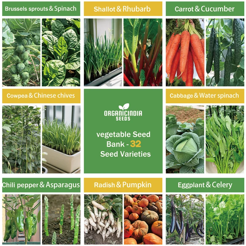 All-in-One Vegetable Seed Bank - 32 Seed Varieties