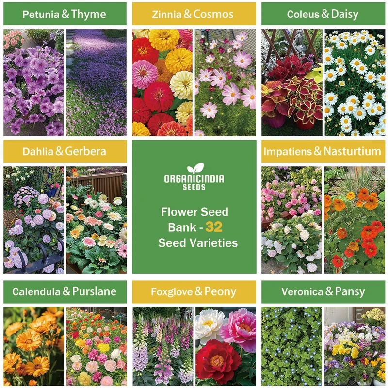 All-in-One Flower Seed Bank - 32 Seed Varieties
