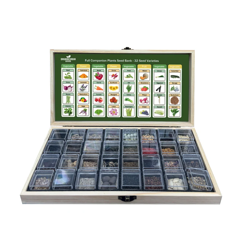 All-in-One Mixed Seed Bank – 32 Premium Garden Seed Varieties for Diverse Planting