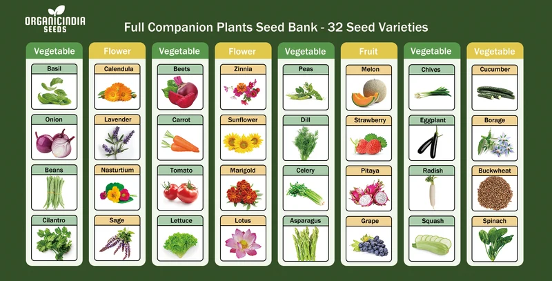 All-in-One Mixed Seed Bank – 32 Premium Garden Seed Varieties for Diverse Planting