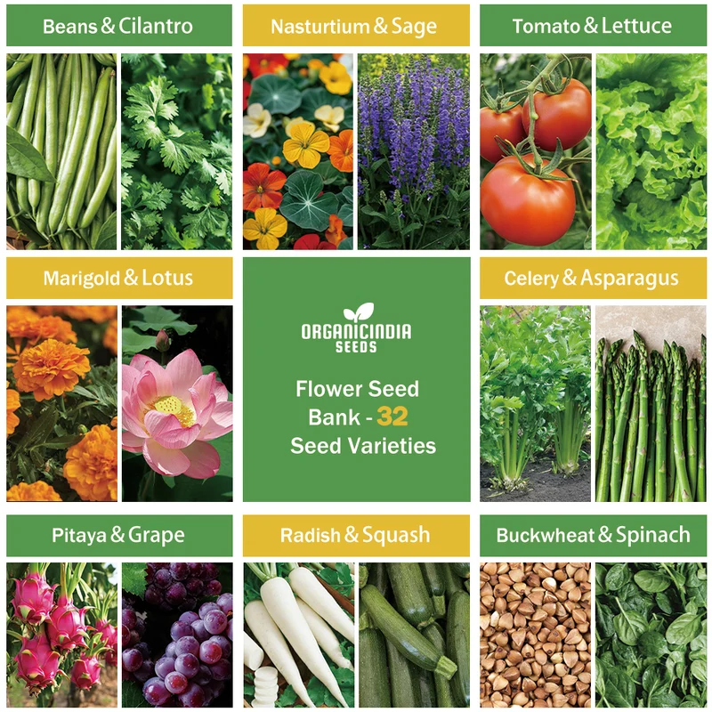 All-in-One Mixed Seed Bank – 32 Premium Garden Seed Varieties for Diverse Planting