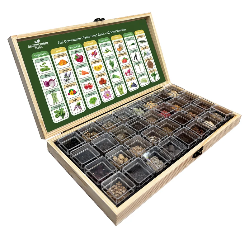All-in-One Mixed Seed Bank – 32 Premium Garden Seed Varieties for Diverse Planting