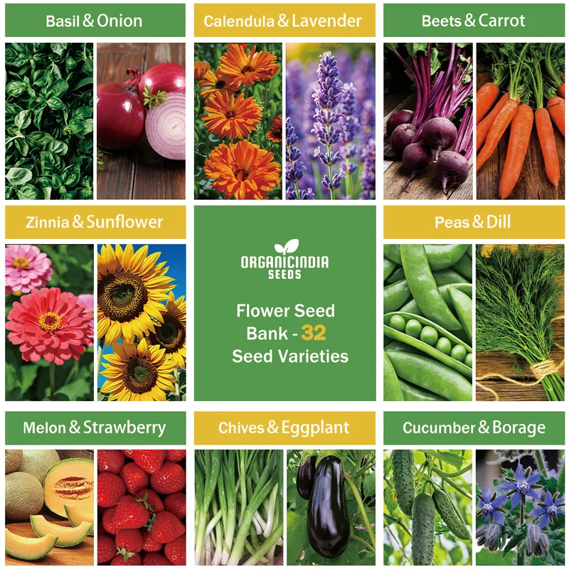 All-in-One Mixed Seed Bank – 32 Premium Garden Seed Varieties for Diverse Planting