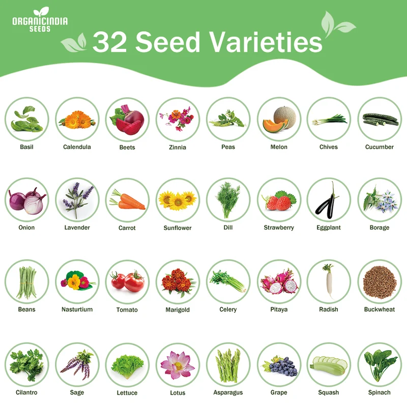 All-in-One Mixed Seed Bank – 32 Premium Garden Seed Varieties for Diverse Planting