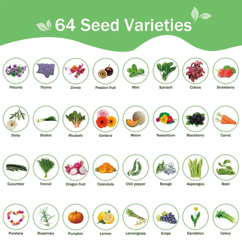 All-in-One Garden Seed Bank – 64 Seed Varieties (Flowers, Herbs, Vegetables, Fruits)