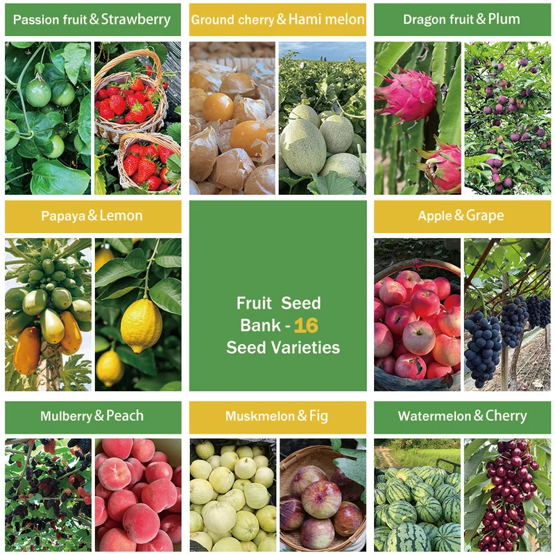 All-in-One Fruit Seed Bank - 16 Seed Varieties