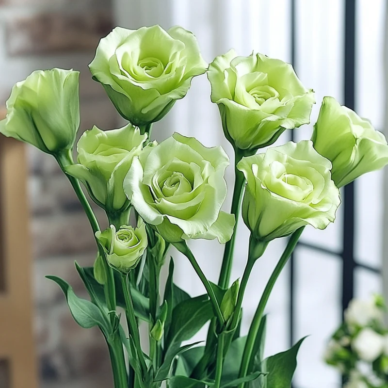 Lisianthus Rosita 2 Green Seeds, Unique Green-Tinted Blooms for Elegant Gardens & Bouquets