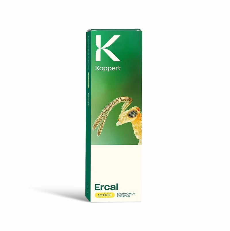 Koppert ERCAL — contre aleurodes