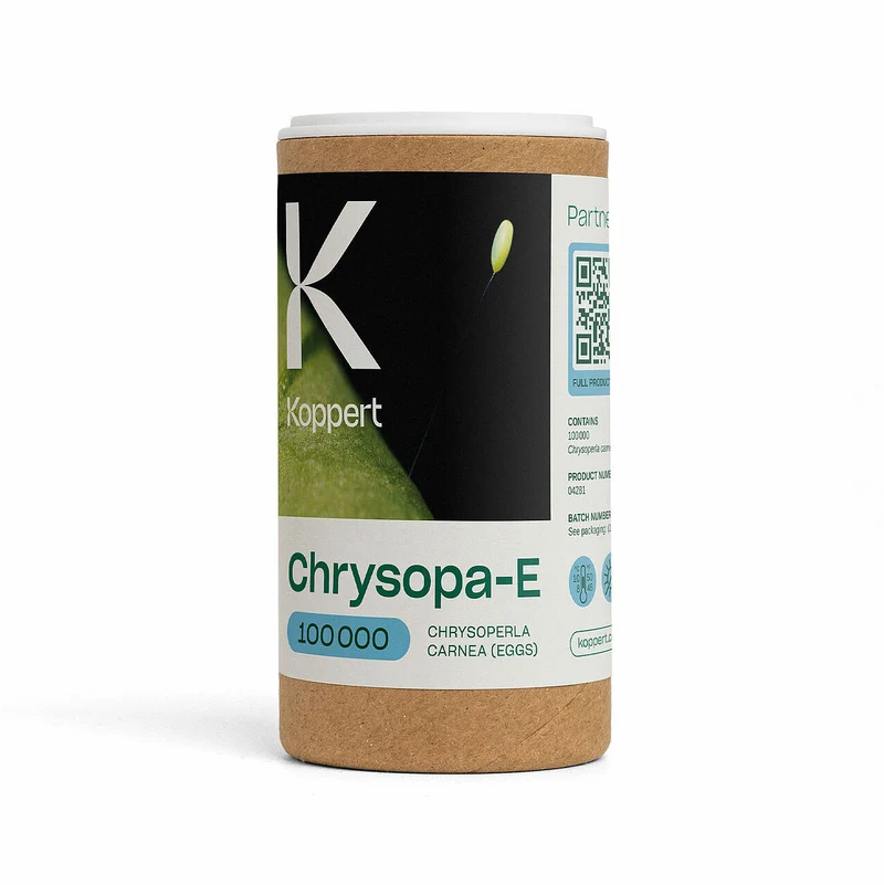 Koppert CHRYSOPA-E — contre pucerons