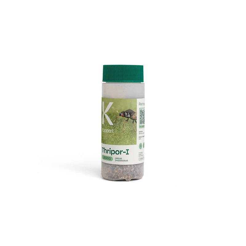 Koppert THRIPOR — contre thrips